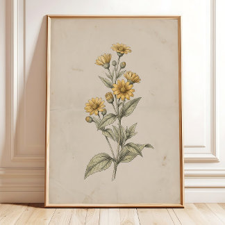 avintage Melampodium Flower Wall Art Print