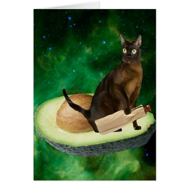 avocado cat (Front)