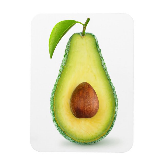 Avocado half magnet (Vertical)