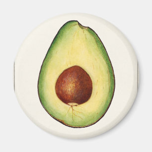 Avocado Magnet