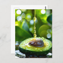 Avocado, Postcrossing