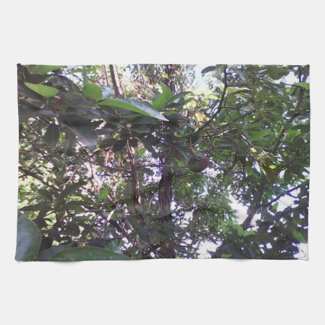 Avocado Tree Tea Towel (Horizontal)