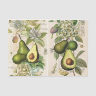 Avocados tissue paper