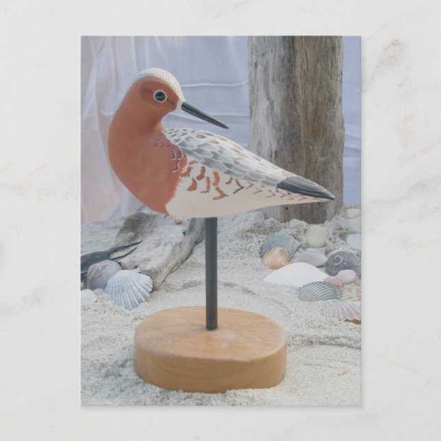 Avocet "Slick" Woodcarving Postcard (Front)