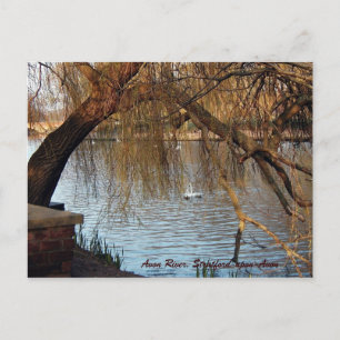 Avon River, Stratford-upon-Avon Postcard