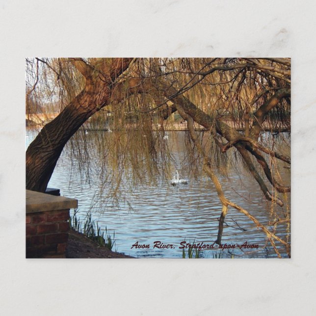 Avon River, Stratford-upon-Avon Postcard (Front)