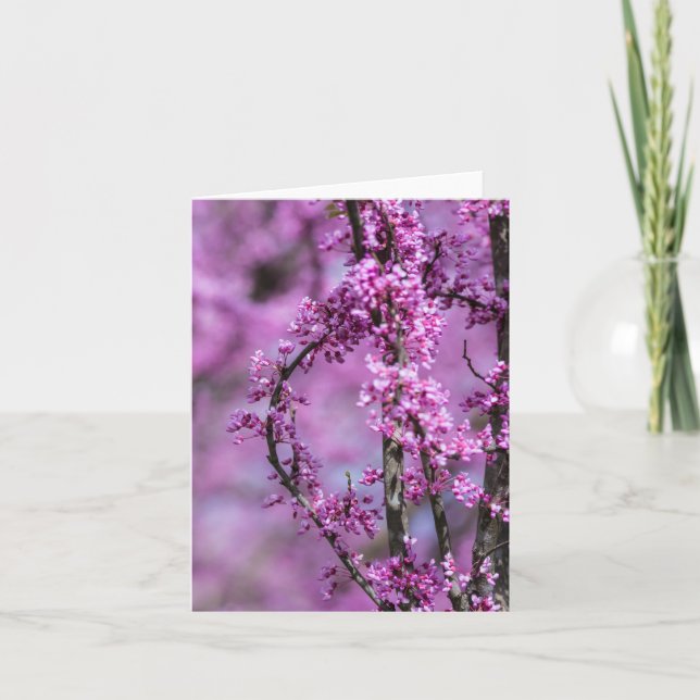 Avondale Redbud Art Card (Front)