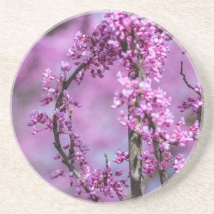 Avondale Redbud Art Coaster