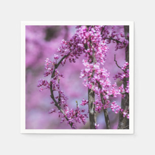 Avondale Redbud Art Napkin