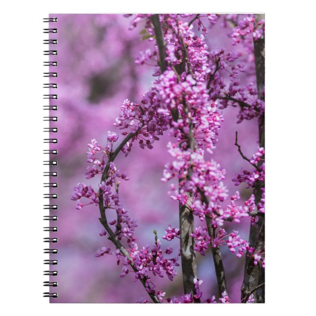 Avondale Redbud Art Notebook (Front)
