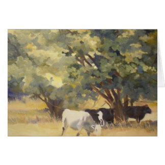 .Awaiting a Summer Breeze In the Lone Star State