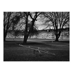 "Awaiting Elation" Photo Print