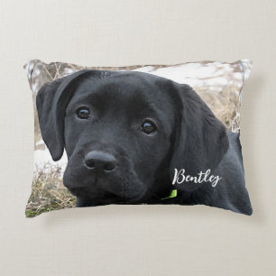 Awaiting Spring - Black Lab Decorative Cushion