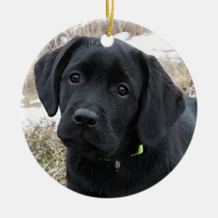 Awaiting Spring - Labrador Puppy - Black Lab Ceramic Tree Decoration