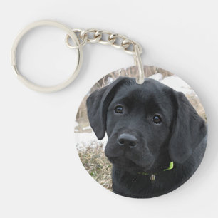 Awaiting Spring - Labrador Puppy - Black Lab Key Ring