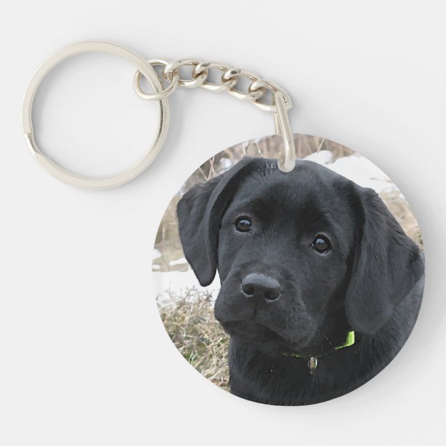 Awaiting Spring - Labrador Puppy - Black Lab Key Ring (Front)