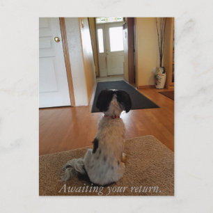 Awaiting your return postcard