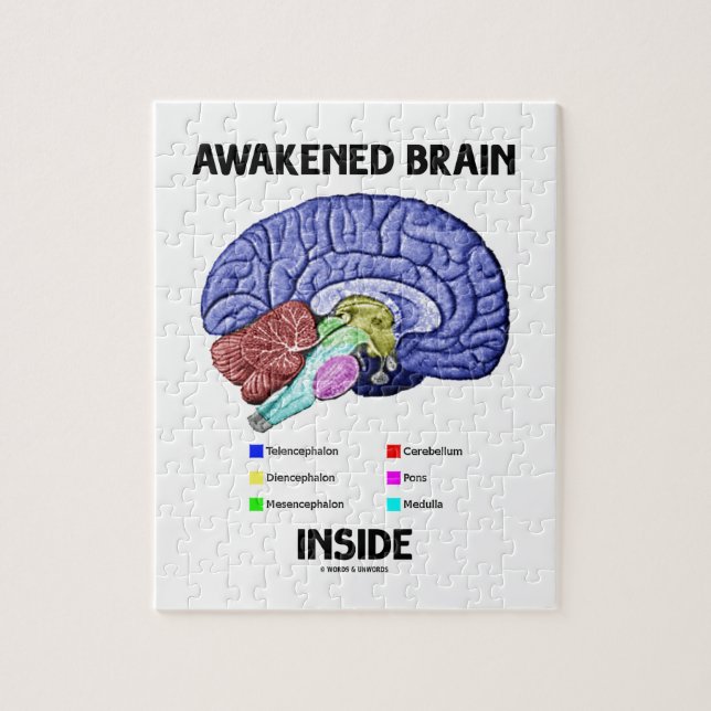 Awakened Brain Inside (Brain Anatomy) Jigsaw Puzzle (Vertical)