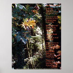 Awakening Divine Self Worth Poster