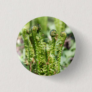 Awakening young fern in the garden 3 cm round badge