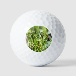 Awakening young fern in the garden  golf balls