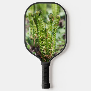 Awakening young fern in the garden jigsaw pickleball paddle