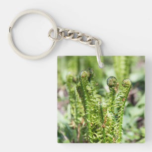 Awakening young fern in the garden key ring