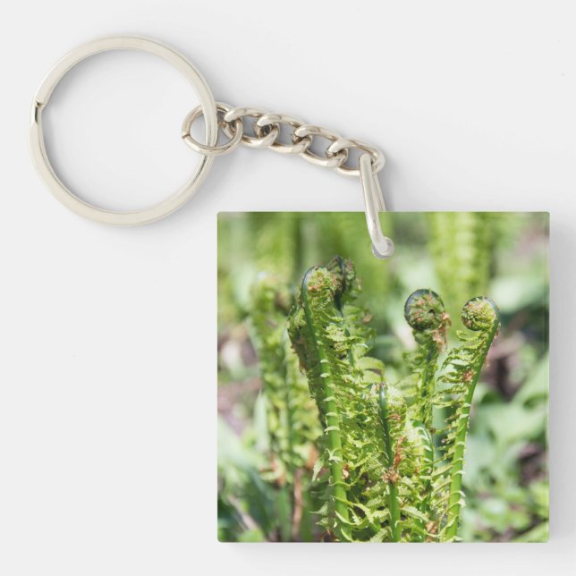 Awakening young fern in the garden   key ring (Front)