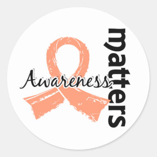 Awareness Matters 7 Endometrial Cancer Classic Round Sticker