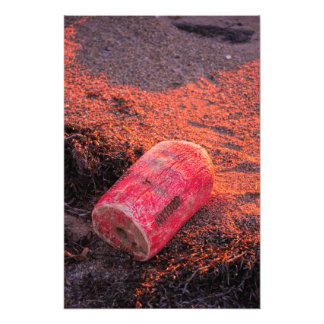 Away From Home Photo Print