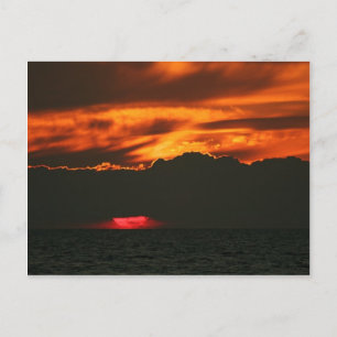Awe and Wonder Postcard