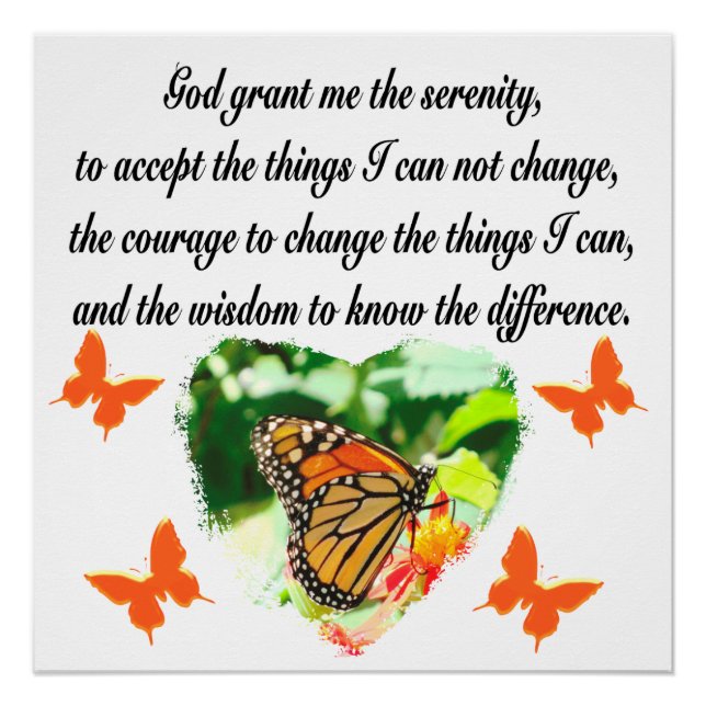 AWE INSPIRING BUTTERFLY SERENITY PRAYER PHOTO POSTER (Front)