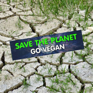 Awereness Vegan Bumper Sticker