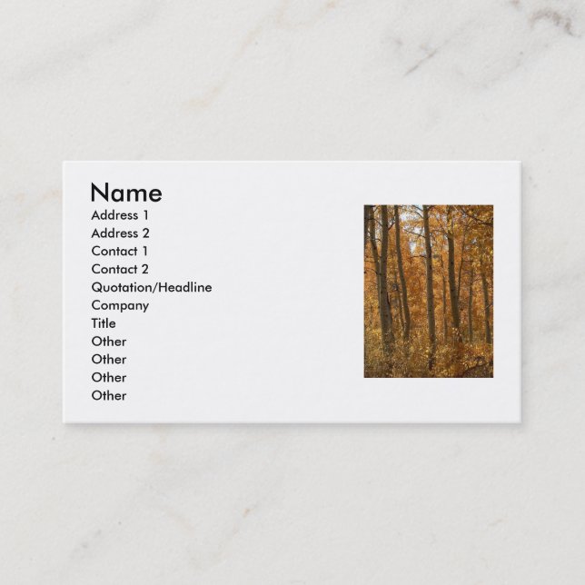 Awesome Amber Business Card (Front)