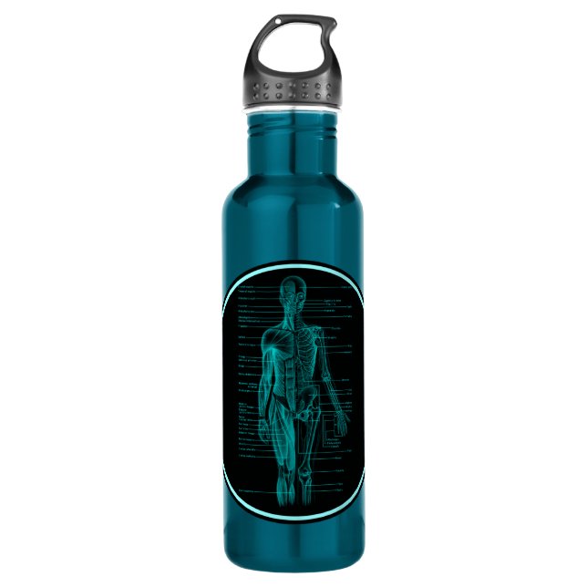 Awesome Anatomy: Human Body Chart Personalised 710 Ml Water Bottle (Front)