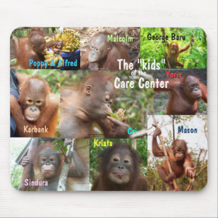 Awesome Apes- Kids at  Wildlife Care Centre Mouse Mat