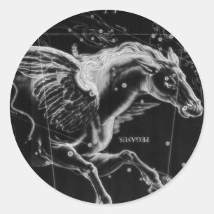 awesome beautiful mystic flying wings horse classic round sticker