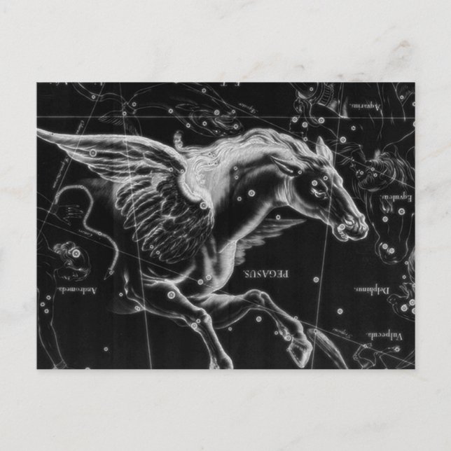 awesome beautiful mystic flying wings horse postcard (Front)