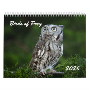 Awesome Birds of Prey 2026 photo calendar