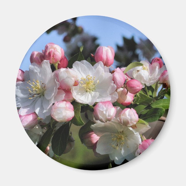 Awesome Blossoms Flower Photography Magnet (Front)