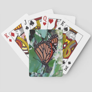 Awesome Butterfly Deck of Playing Cards