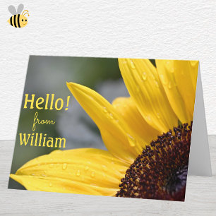 Awesome Close-Up Big Sunflower w/ Dew Drops Hello Card