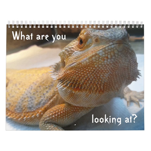 Awesome FUNNY Calendar for 2019 (Cover)