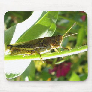 Awesome Grasshopper Mouse Mat
