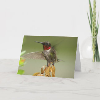 Awesome Hummingbird Card
