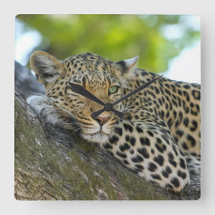 Awesome Leopard Square Wall Clock