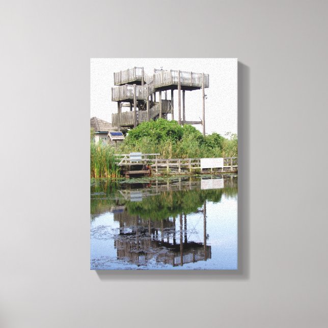 Awesome Mirror Image Canvas Print (Front)