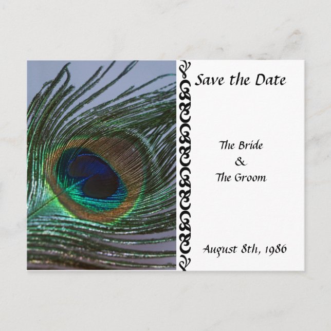 Awesome Peacock Save the Date Postcard (Front)