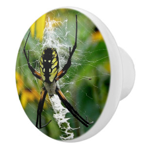 Awesome Photo Orb Spider in Web Ceramic Knob