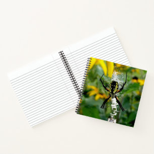 Awesome Photo Orb Spider in Web Notebook